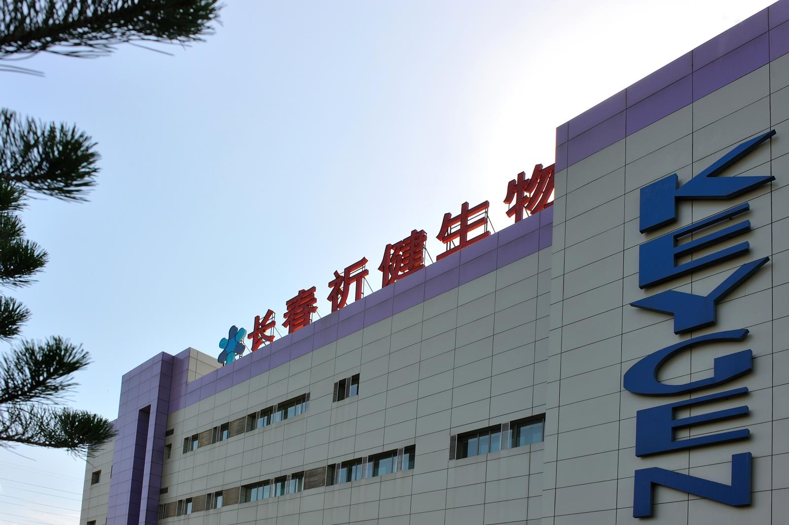 DSC_6946.jpg DSC_6946.jpg